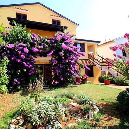 Apartments Tancel بوريتش المظهر الخارجي الصورة